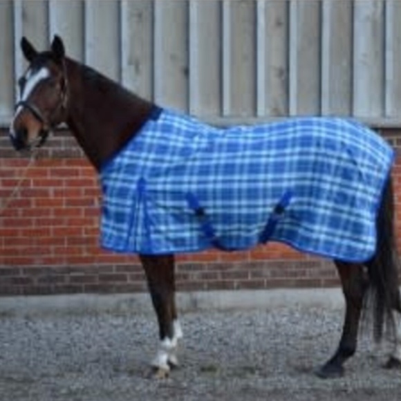 Cavalier Century Fairfield Horse Summer Sheet - NWT - Picture 1 of 9
